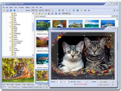 FastStone Image Viewer 3.7