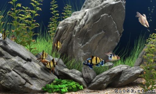  Marine Aquarium 3.5.9b